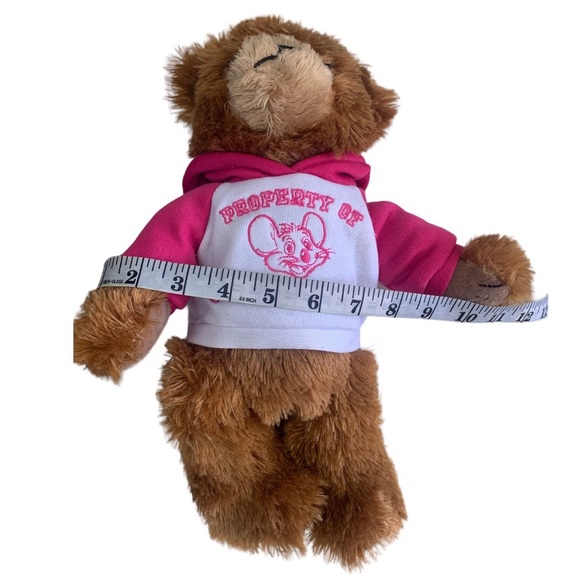 Chuck E Cheese Teddy Bear - Picture 5 of 6